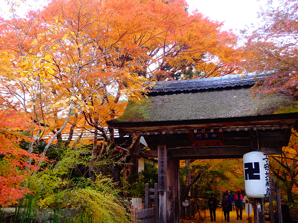 長寿寺